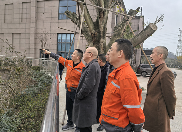 67c007174da21.jpg 微信图片_20250227141543.jpg