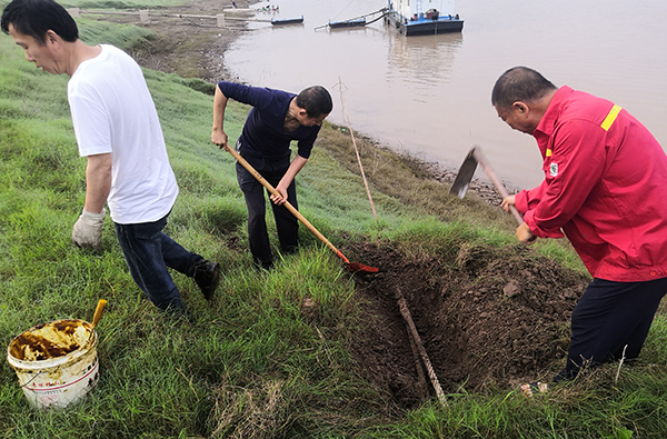 忠县分公司对消落期港区系泊设施设备进行维护保养2.jpg