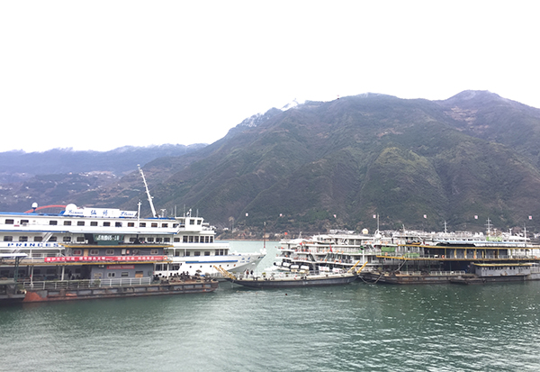 5dedc61205258.JPG IMG_0567.JPG