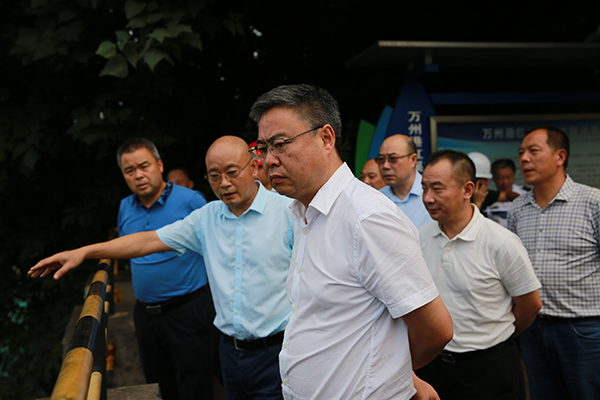 5d536db9c12fb.jpg 1.jpg