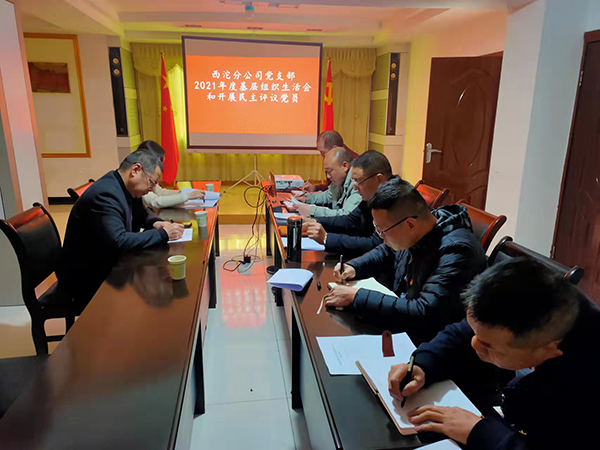 西沱分公司党支部2021年度基层组织生活会.jpg