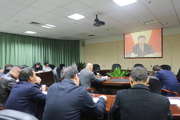 5dd338d8a6bfc.JPG 024A9866.JPG